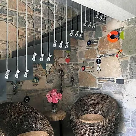 Oliva Butik غولتوركبوكو