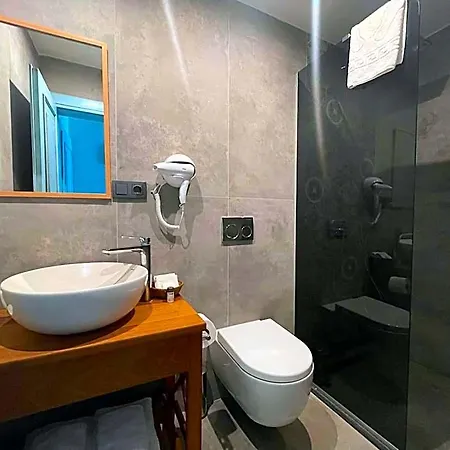 ホテル Oliva Butik 4*